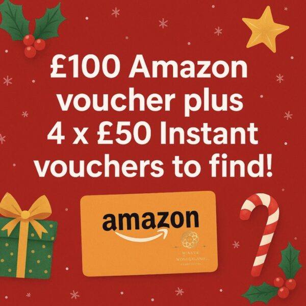 £100 Amazon voucher